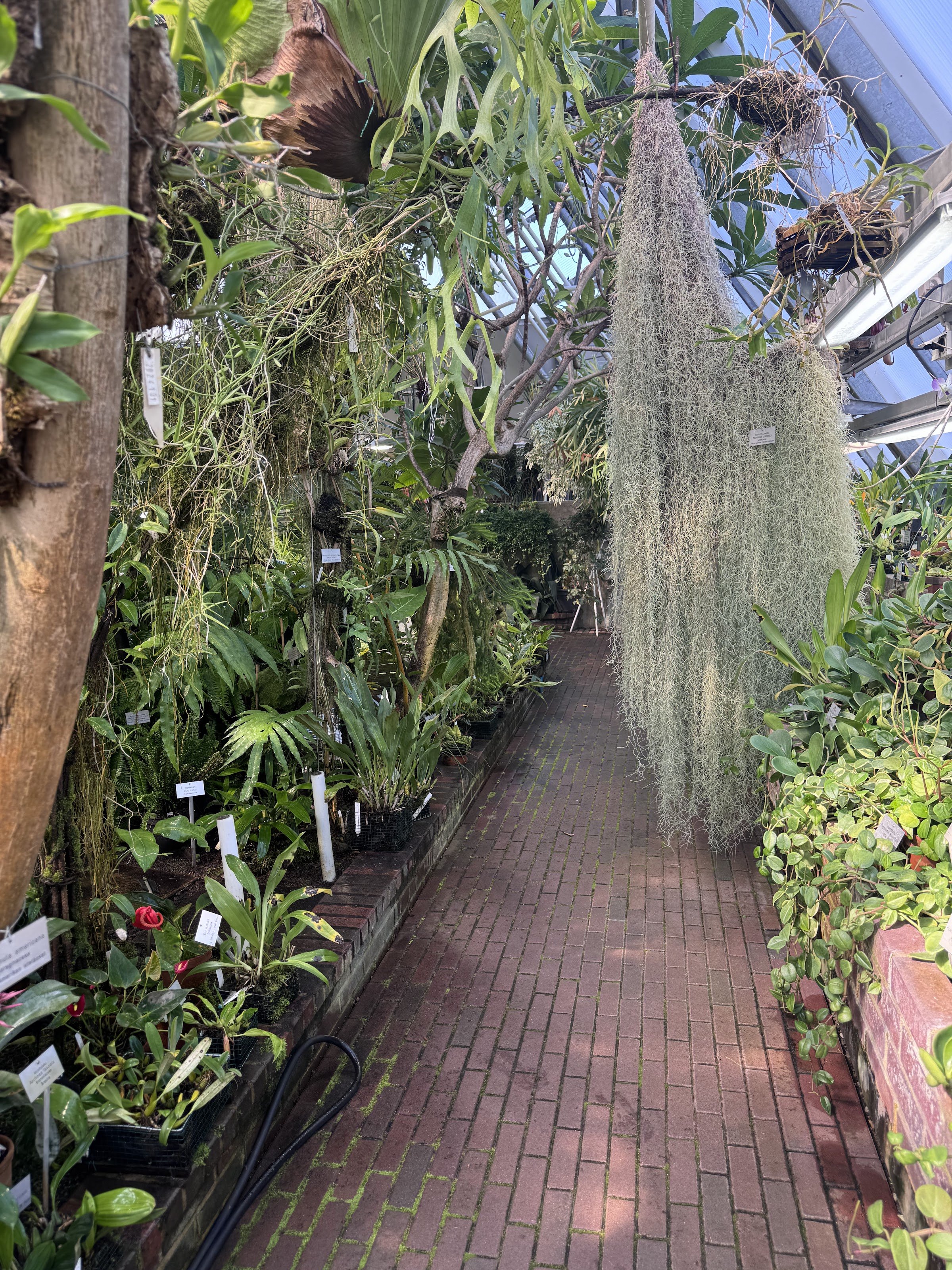 University of Oulu Botanical Gardens